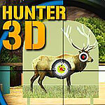 Game Hunter 3D