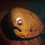Game Loan Shark